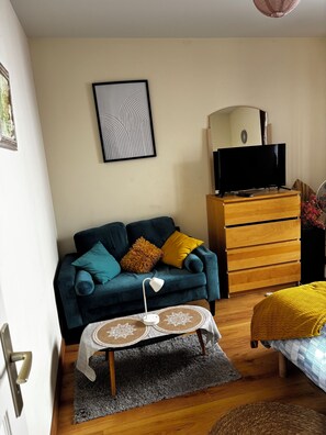TV, fireplace, books