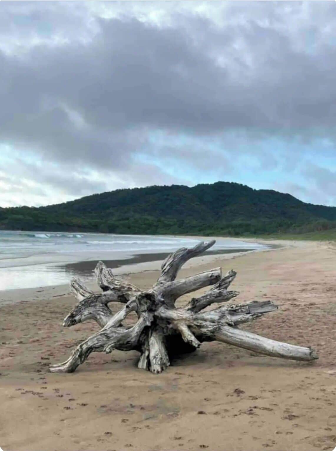 Plage à proximité, chaises longues, serviettes de plage