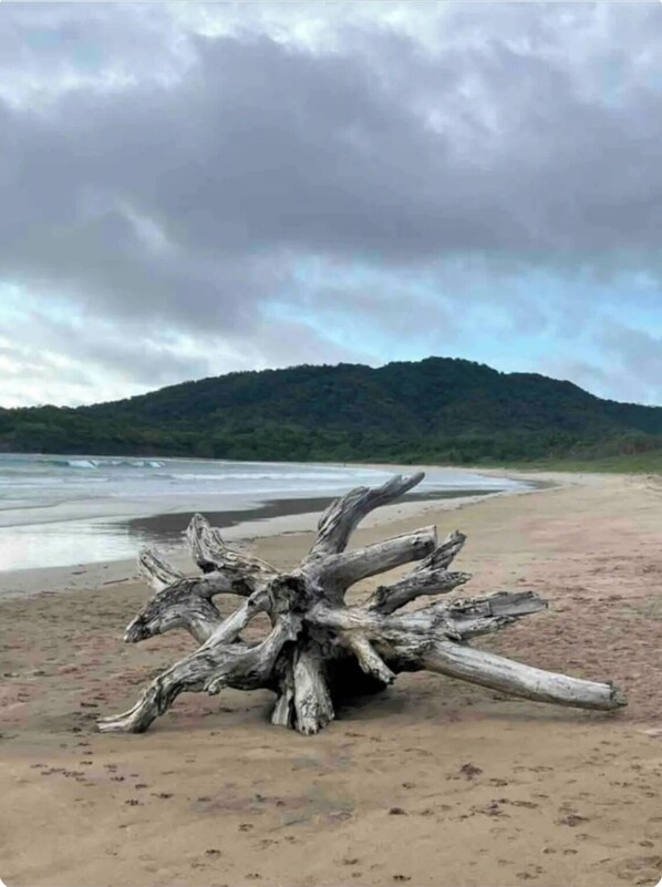 Plage à proximité, chaise longue, serviettes de plage