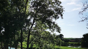 A serene riverside landscape with lush greenery and trees. - L'appart D'angélique (Imling)