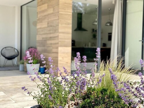 Leśny Apartament - Shuuumi Las