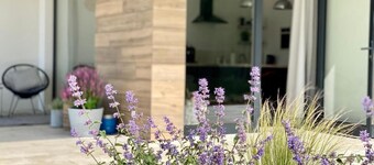 Leśny Apartament - Shuuumi Las