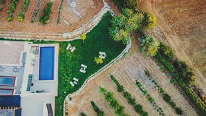 Une grande piscine rectangulaire entourée d’une zone dallée où sont disposés plusieurs chaises longues.