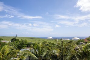 A landscape with three large white domes, lush green vegetation, and a clear blue sky. - Luxury Villa Incl Pool With Seaview Near Beaches (Grote Berg)