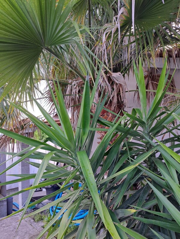 Exterior detail - my cocooning house (Mérignac)