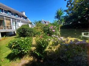 A residential garden with a variety of plants and flowers, a white house with multiple windows, and a clear blue sky.