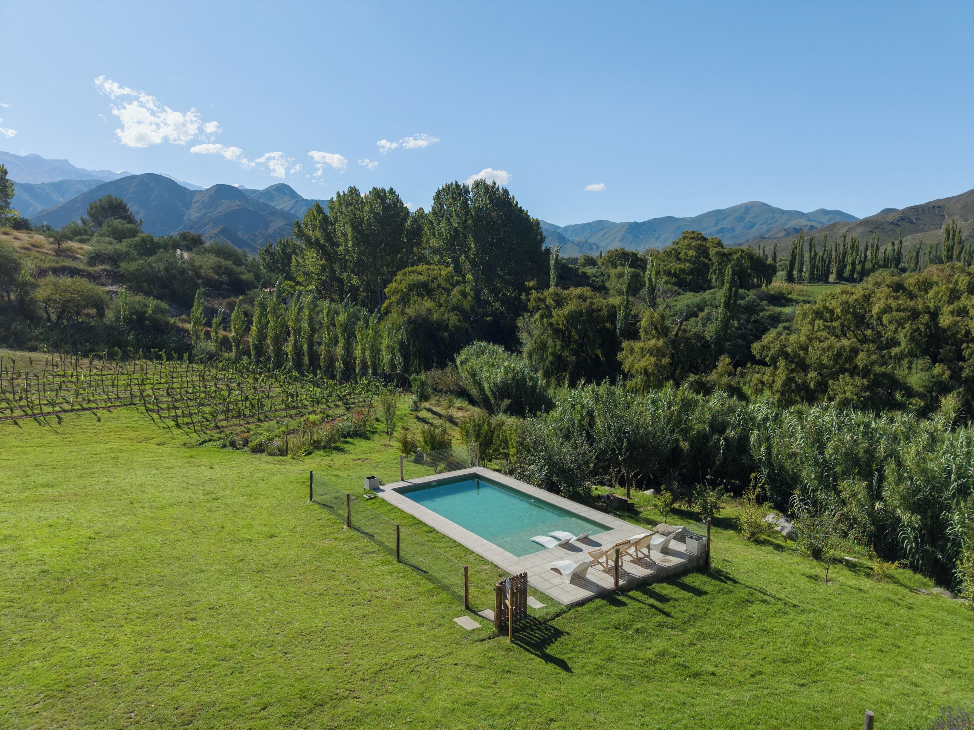 Una piscina rodeada de césped con vistas a montañas al fondo.