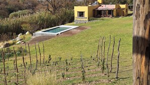 A modern house with a swimming pool, surrounded by a grassy field and lavender plants. - Loma Puskana - Hostería (Cachi)