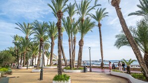 Une promenade bordée de palmiers, avec vue sur le front de mer et un chemin piétonnier dallé.