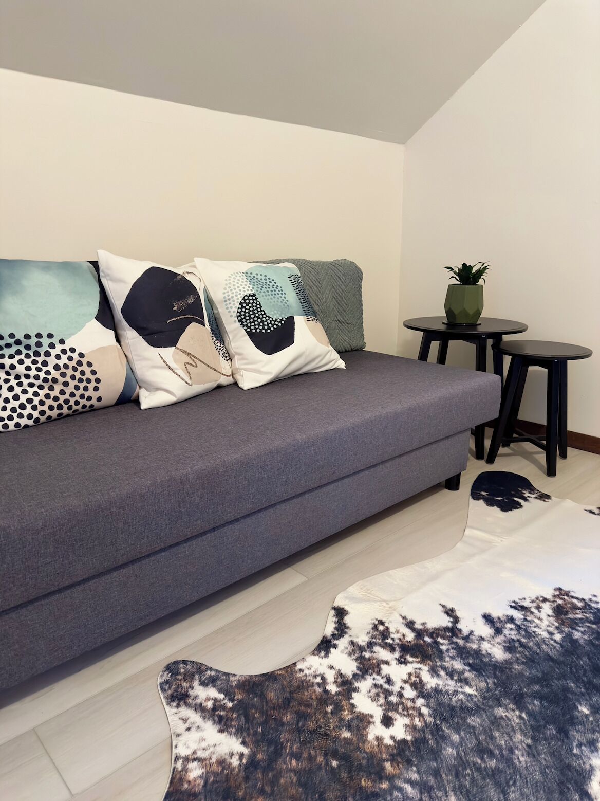 Una sala de estar moderna con un sofá gris, cojines estampados, una mesita redonda con una planta y una alfombra original.