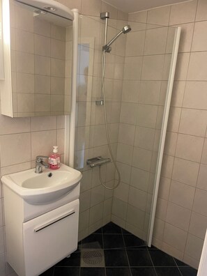 Hair dryer, towels, soap, toilet paper - Cozy Studio Retreat (Vestland)