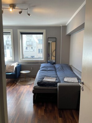 1 bedroom, WiFi, bed sheets - Cozy Studio Retreat (Vestland)
