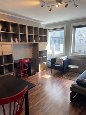 TV - Cozy Studio Retreat (Vestland)