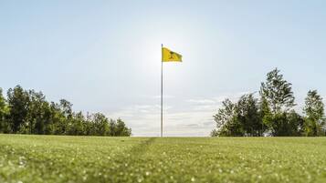Ein Golfplatz mit einer Flagge auf einem Fahnenmast, umgeben von grünem Gras und Bäumen.
