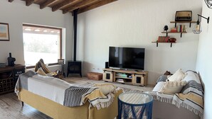 Un salon confortable avec un canapé, un téléviseur, une bibliothèque et une cheminée.