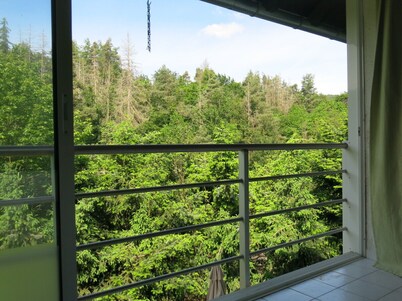 Herzlich Willkommen in der Erlebnisregion Edersee