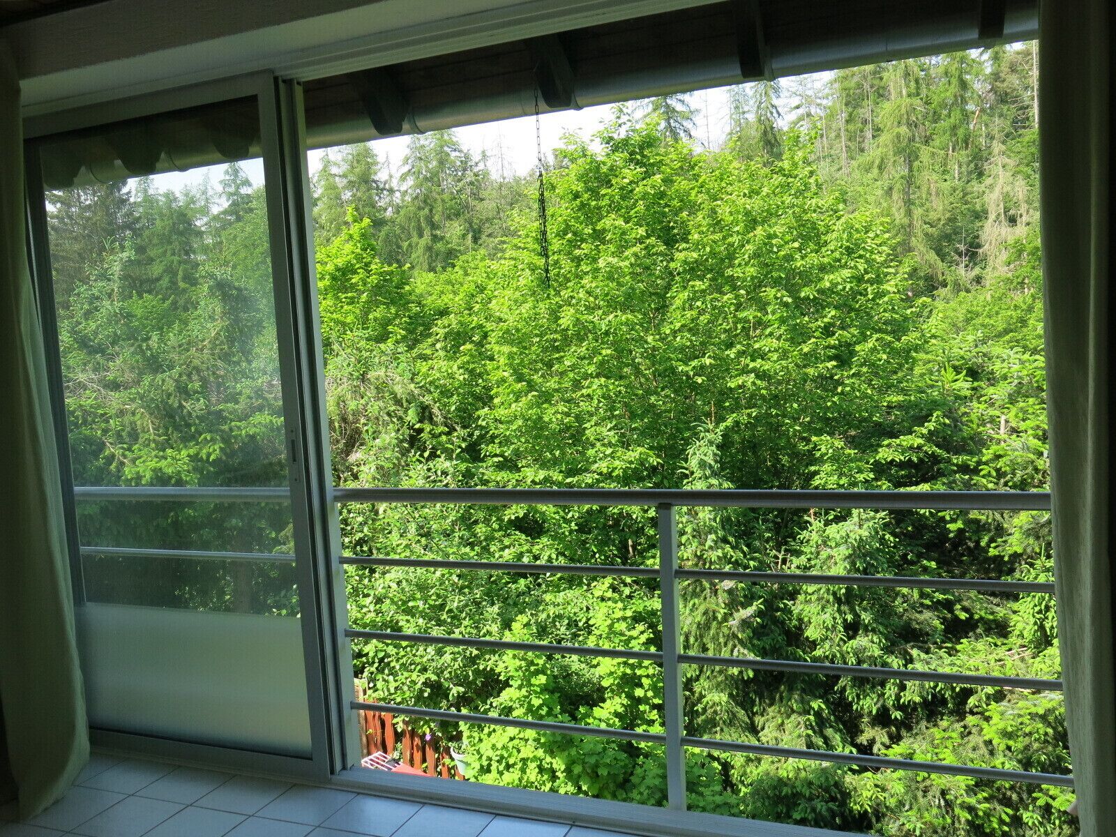 En balkon med udsigt over en tæt skov.