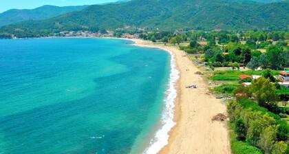 Aristotelia Gi Studio - Cozy Poolside Bliss