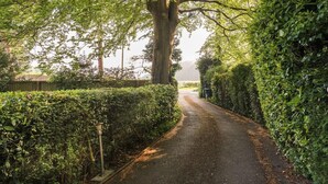 A narrow, tree-lined road with a large tree on the left and dense hedges on both sides. - Cozy City Retreat in Bristol With Parking & Patio (Bristol)