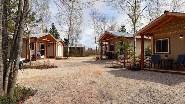 A gravel driveway leading to a row of wooden cabins with attached porches, surrounded by trees. - Cabin #4 centrally located to beaches, golfing and the Confederation Trail! (Mount Stewart)