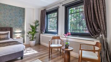 Superior Room | View from room