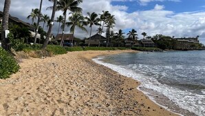 A beach with palm trees and beachfront buildings. - Ocean View, Beach Front 2bd 2ba unit less than a minute walk to the beach! (Lahaina)