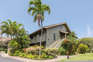Un bâtiment à deux étages, doté d’un toit en pente, entouré d’une végétation luxuriante et de palmiers.