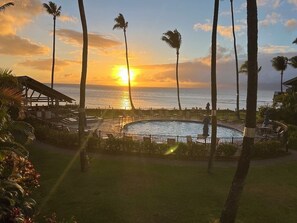 Property grounds - Ocean View, Beach Front 2bd 2ba unit less than a minute walk to the beach! (Lahaina)