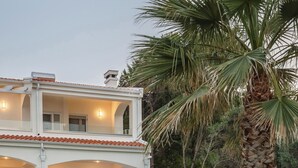 A modern white house with a covered porch, a palm tree, and a well-maintained lawn.