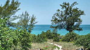 Unclassified image, 5 of 46, button