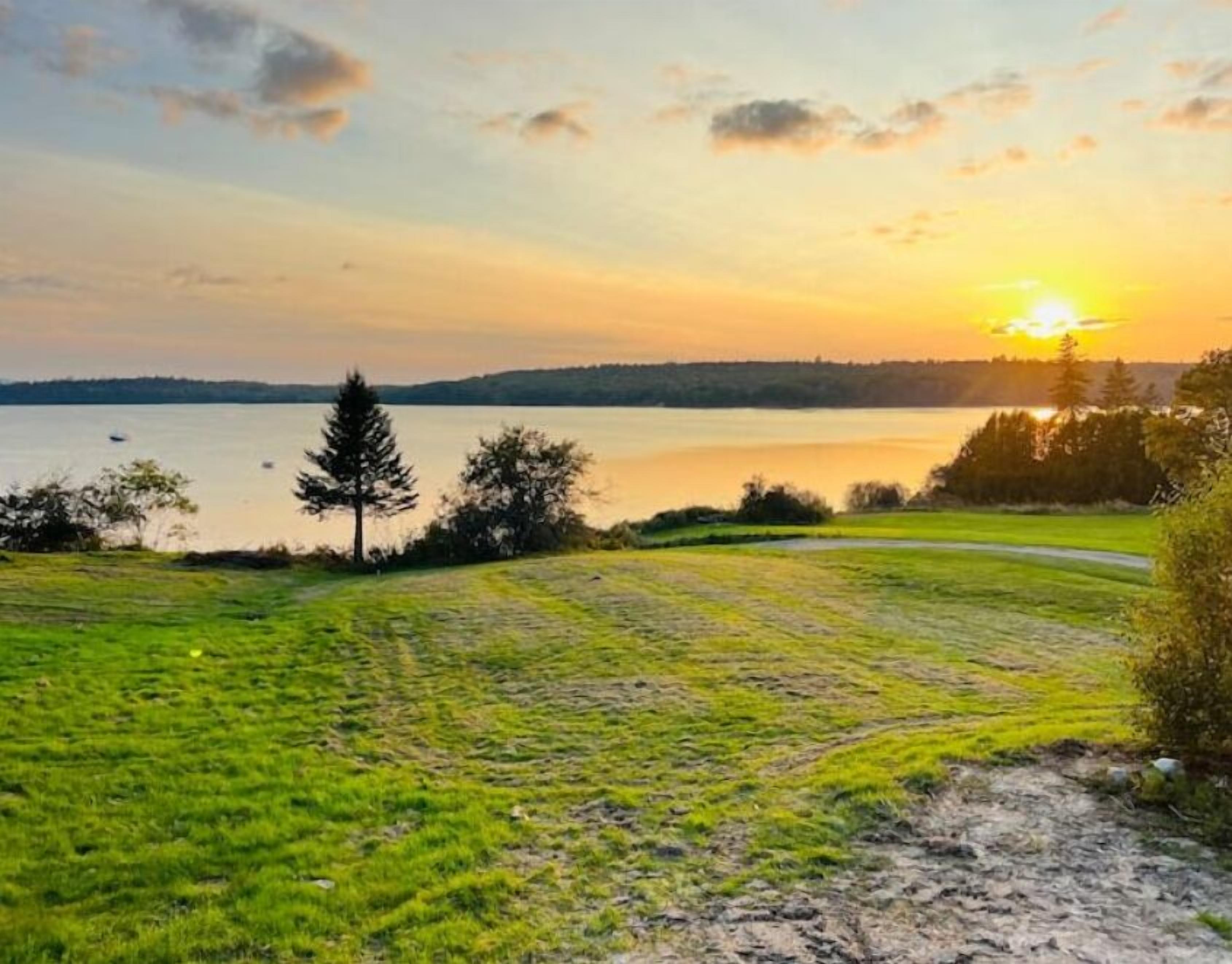 A grassy field with a body of water and trees in the background.