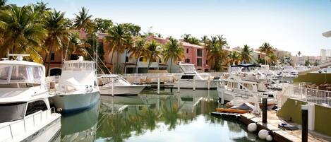 Marina