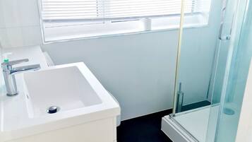 Shower, hair dryer, soap, toilet paper