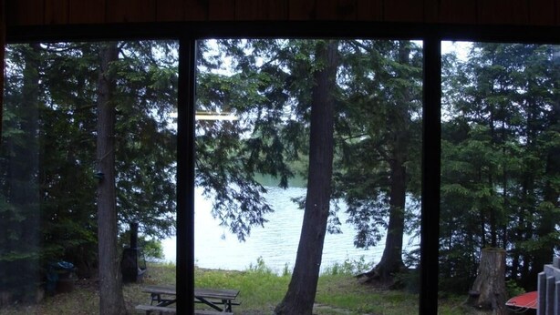 A view through a window of a forested area with a lake, a picnic table, and a bench.