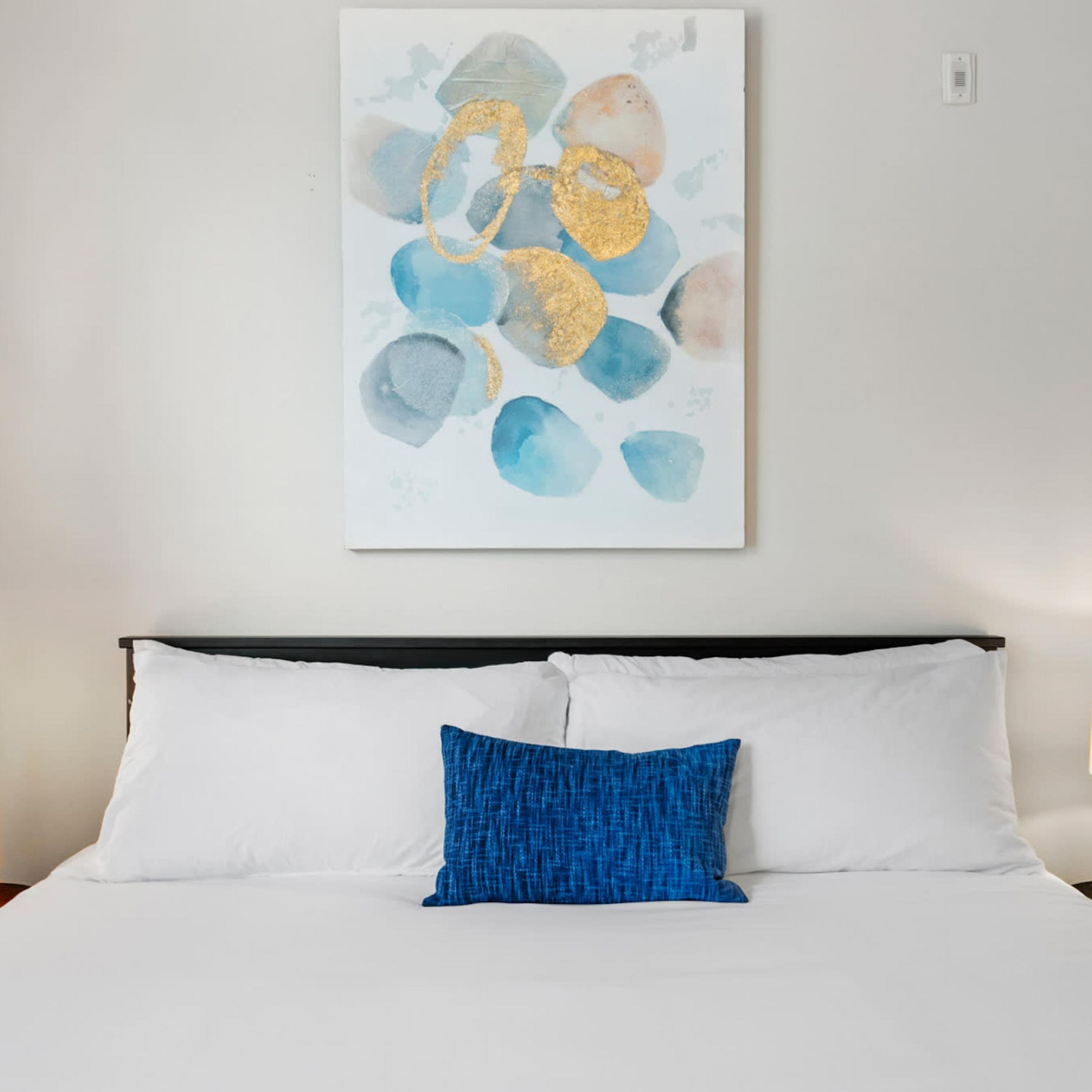 Dallas | Modern 1BD/1BA Downtown Apartment