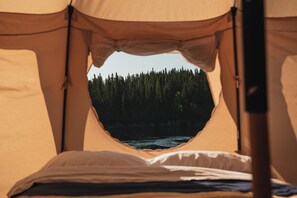 A tent with a bed inside, a view of a forest, and a body of water.