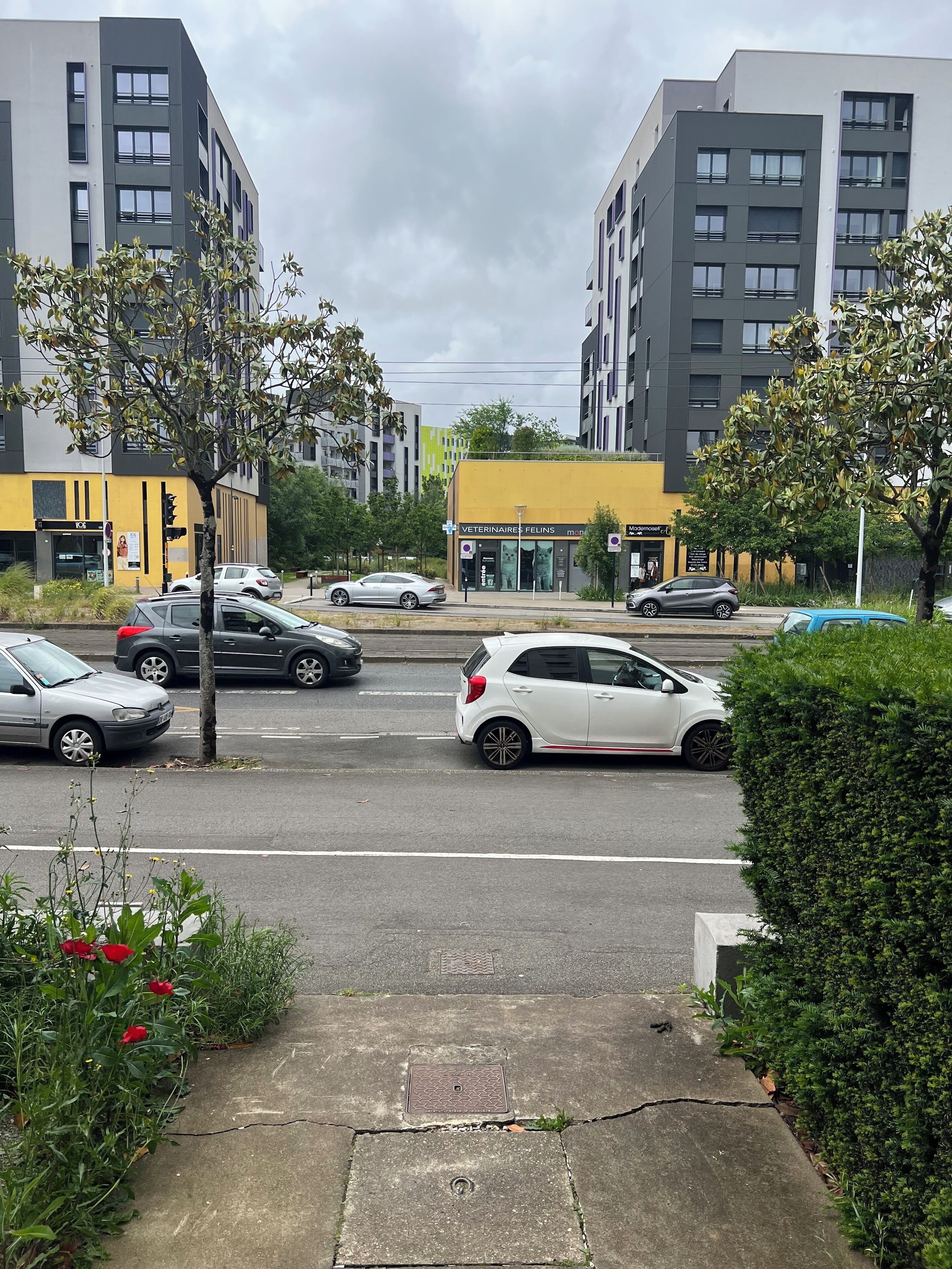A street view with modern buildings, a veterinary clinic, and parked cars.