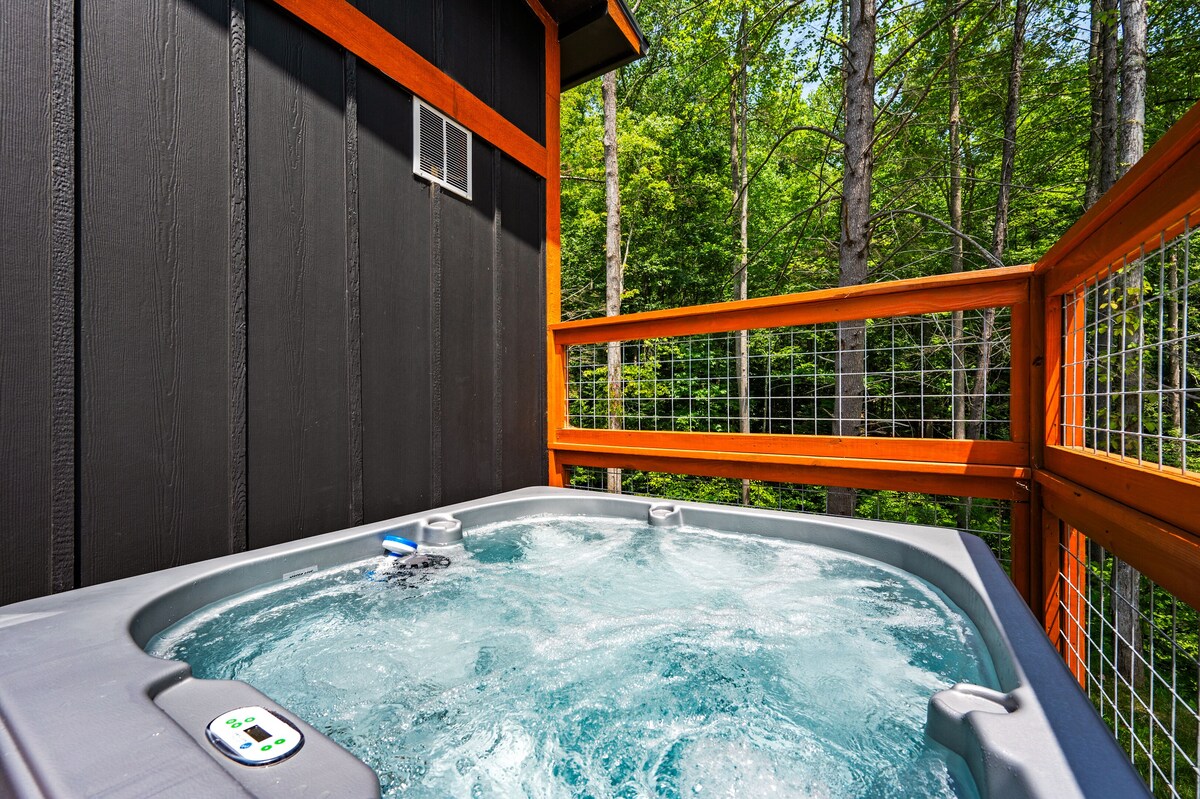 Photo 55 of Southern Hospitality is walking distance !! Pet Friendly, indoor pool, & BEARS!!