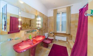 Douche, séchoir à cheveux, serviettes fournies, savon