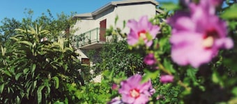 One Bedroom apartment with Terrace