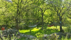 Un espacio natural al aire libre con una hamaca, árboles y un muro de piedra.