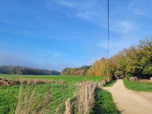 Miscellaneous - Propriété de Charme JO Paris Versailles (Le Mesnil-Saint-Denis)