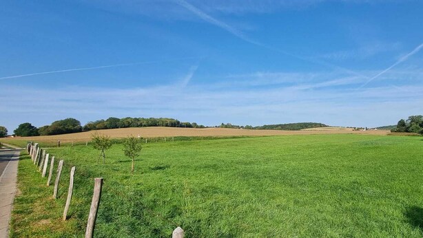 Un paisaje rural con un campo cubierto de hierba, una valla de madera y un cielo azul despejado.