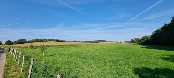 Miscellaneous - Propriété de Charme JO Paris Versailles (Le Mesnil-Saint-Denis)