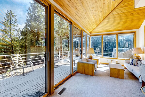 Televisión, chimenea, libros