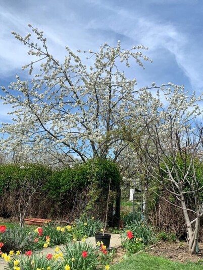 Family Friendly Villa with Playground & Garden