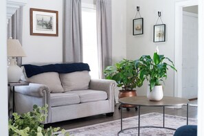 Télévision, cheminée, espaces bureaux