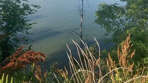 A calm lake with a clear sky, surrounded by trees and vegetation. - RV Site #38 Pull Through (Hardin)