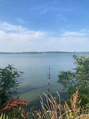 Un lago tranquilo con cielo despejado, rodeado de árboles y vegetación.