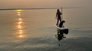 A person paddleboarding on calm water with a dog, under a clear sky. - RV Site #39 Pull Through (Hardin)